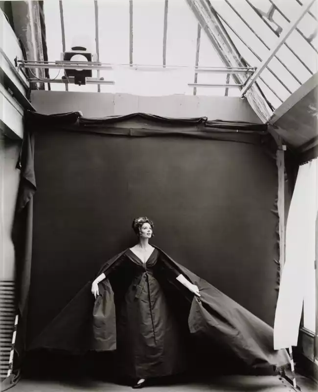 Suzy Parker, evening dress by Dior, Paris Studio 1956 Painting Alevon