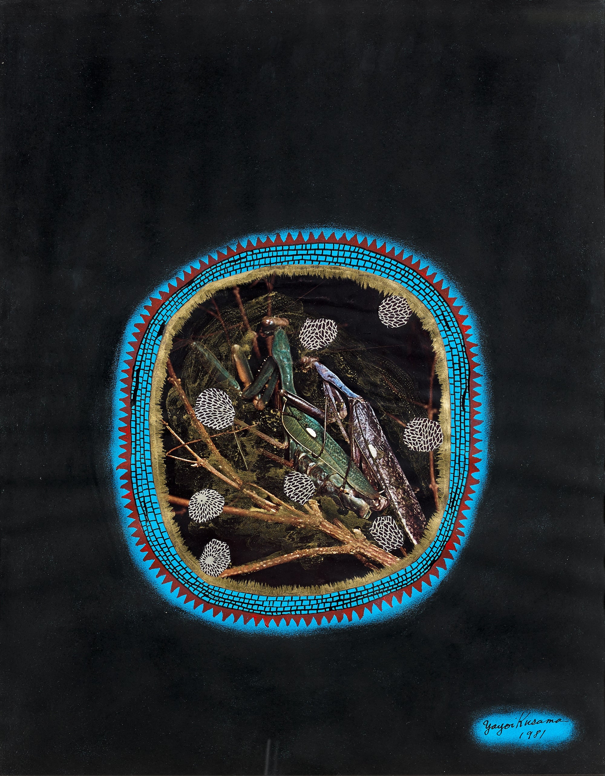 Mantis Work on Paper Omer Tiroche Gallery